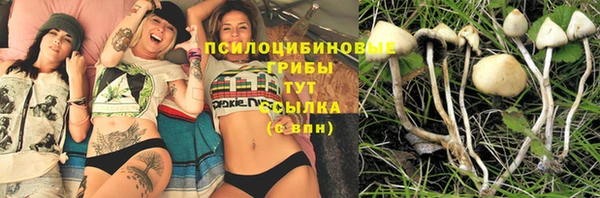 марки nbome Арсеньев